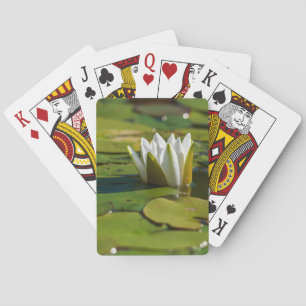 Jeu De Cartes Lys d'eau