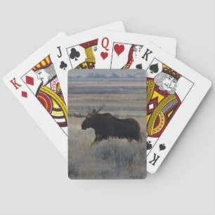 Jeu De Cartes M2 Bull Moose