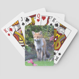 Jeu De Cartes M. Fox