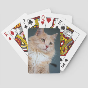 Jeu De Cartes M. Handsome
