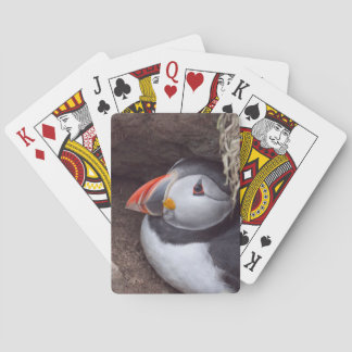 Jeu De Cartes Macareux d'emboîtement