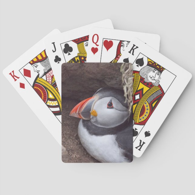 Jeu De Cartes Macareux d'emboîtement (dos)