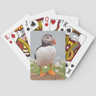 Jeu De Cartes Macareux frais