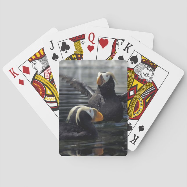 Jeu De Cartes Macareux huppés d'Alaska (dos)