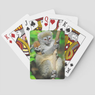 Jeu De Cartes Madagascar, Andasibe, Ile Aux Lemuriens, Mother