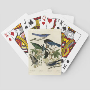 Jeu De Cartes Magpie Jays & Nutcracker Audubon Birds of America