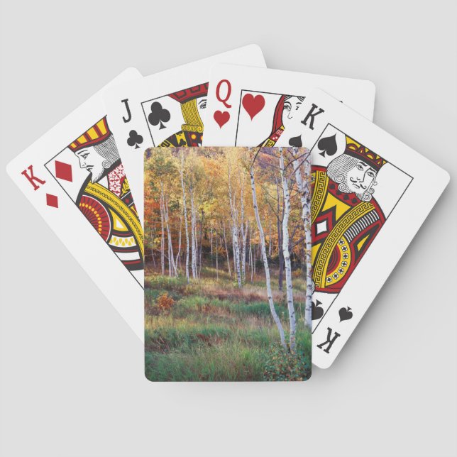 Jeu De Cartes Maine, Parc national de l'Acadia, automne (dos)