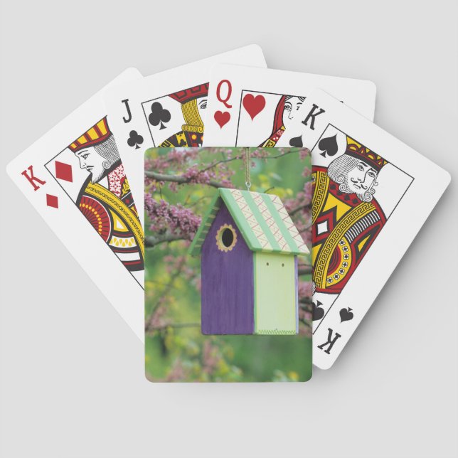 Jeu De Cartes Maison d'oiseau sur un arbre Redbud (dos)