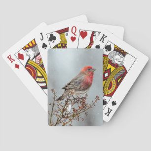 Jeu De Cartes Maison Finch en Neige - Photo originale
