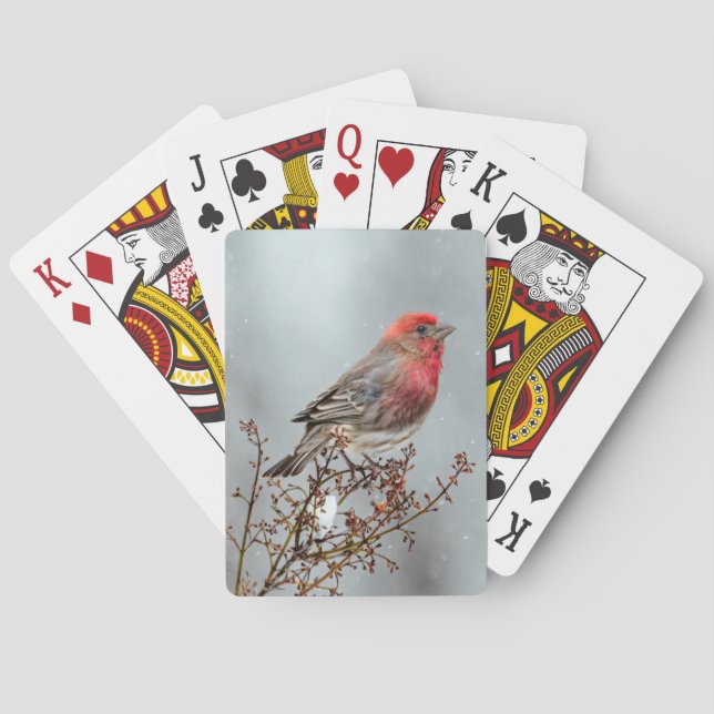 Jeu De Cartes Maison Finch en Neige - Photo originale (dos)