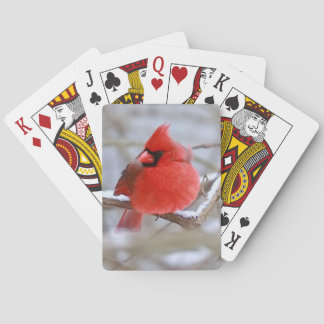 Jeu De Cartes Make_Cardinal_Cards