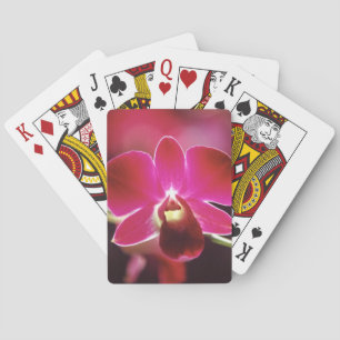 Jeu De Cartes Malaisie, orchidée