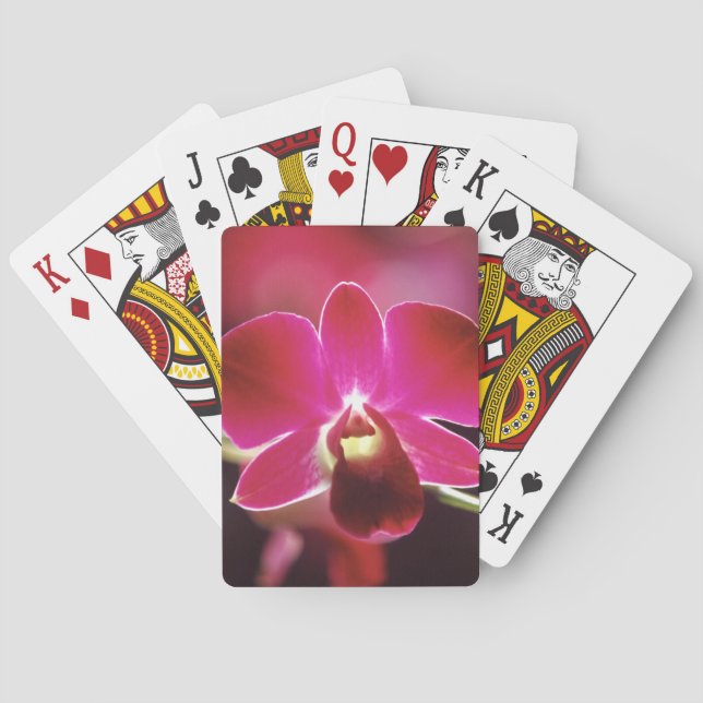 Jeu De Cartes Malaisie, Orchidée (dos)