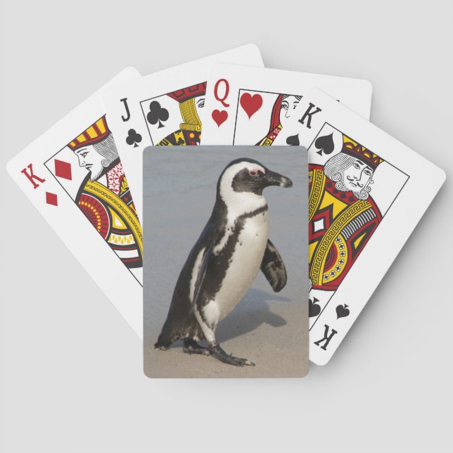 Jeu De Cartes Manchot africain en marche (dos)