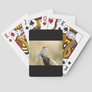 Jeu De Cartes Mangeur d'abeilles à gorge blanche