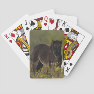Jeu De Cartes Mare miniature et Foal dans les fleurs