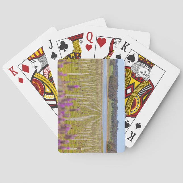 Jeu De Cartes Margaret River, Australie occidentale (dos)