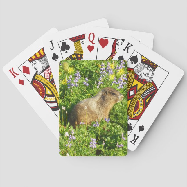 Jeu De Cartes Marmot dans le Mont Rainier Fleurs sauvages (dos)