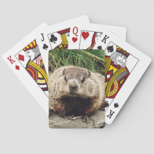 Jeu De Cartes Marmotte