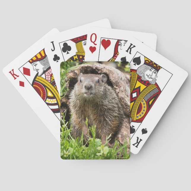 Jeu De Cartes Marmotte dans un tronc creux (dos)