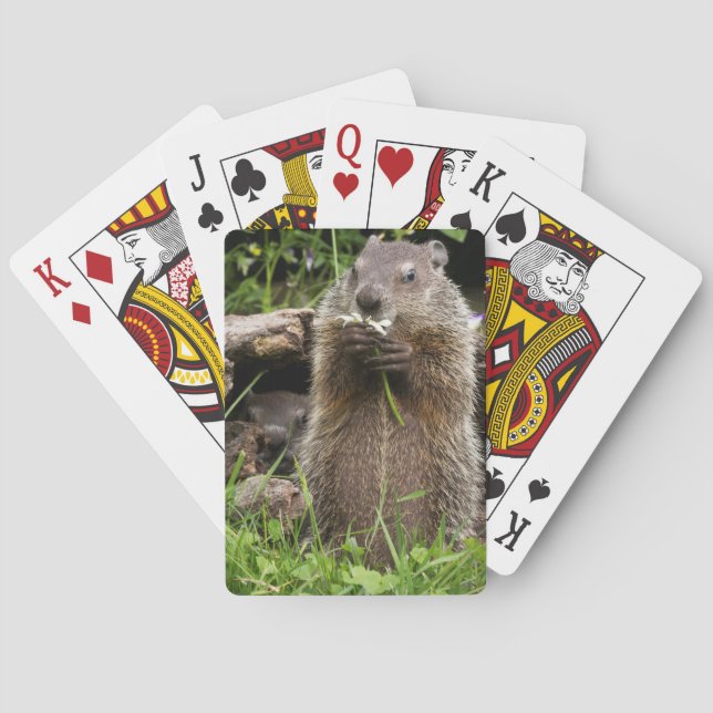Jeu De Cartes Marmotte mâchonnant une fleur (dos)