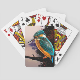 Jeu De Cartes Martin-pêcheur commun