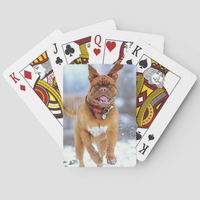 Jeu De Cartes Mastiff (dos)
