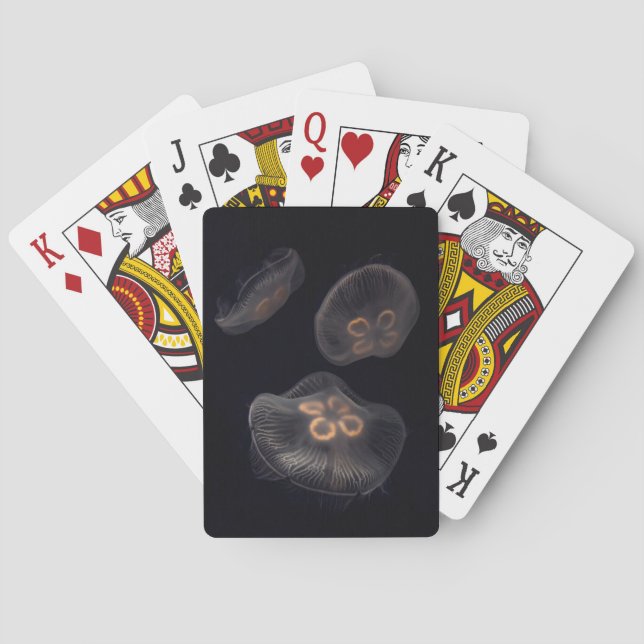 Jeu De Cartes Méduse lunaire nageant (dos)