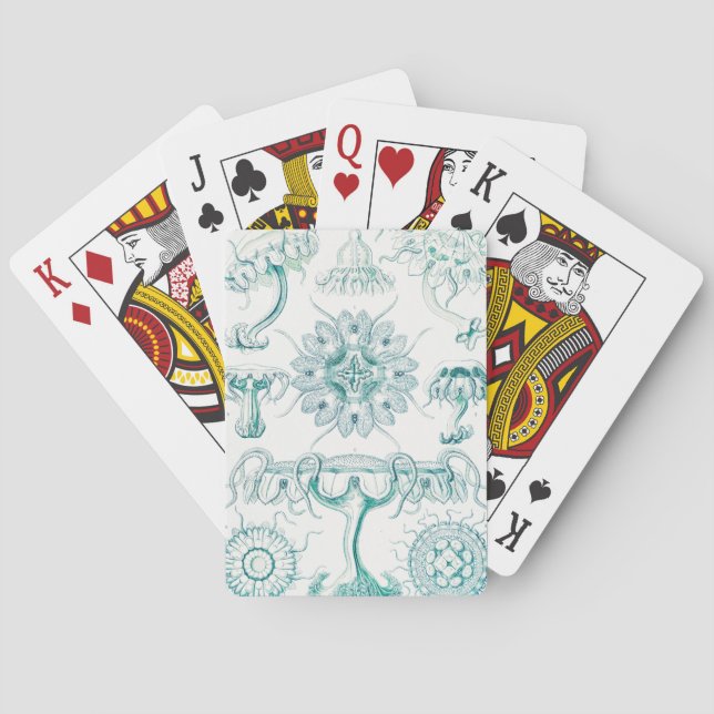 Jeu De Cartes Méduses, Discomedusae par Ernst Haeckel (dos)