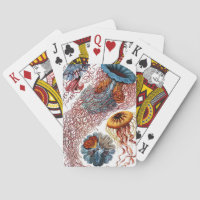 Méduses par Ernst Haeckel