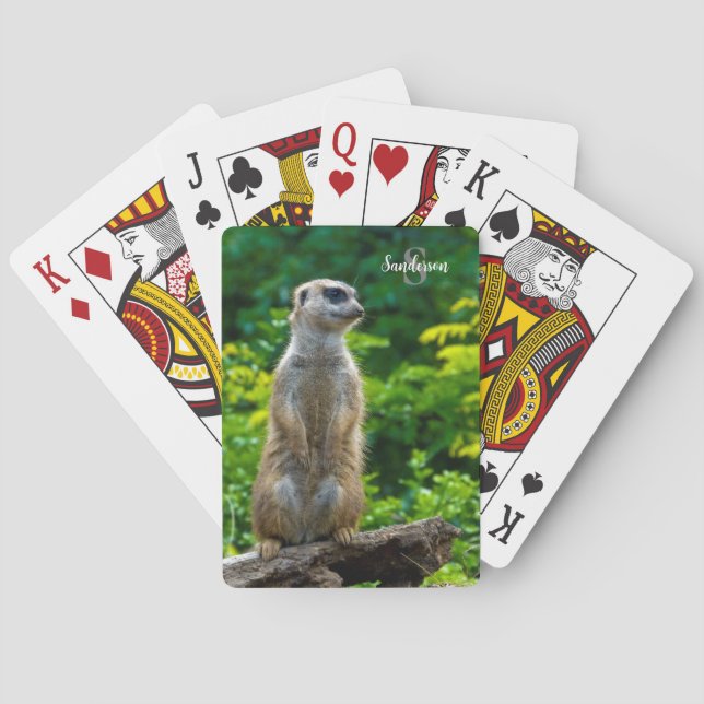Jeu De Cartes Meerkat Jouer aux cartes (dos)