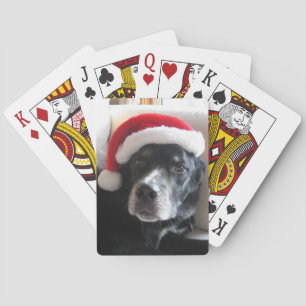 Jeu De Cartes Mélange de rottweiler de Père Noël Chien-Labrador