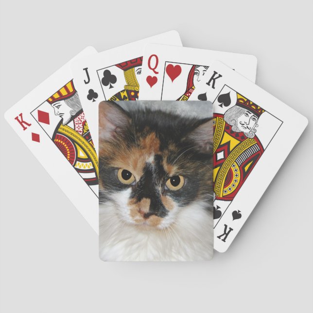 Jeu De Cartes MeMeow (dos)