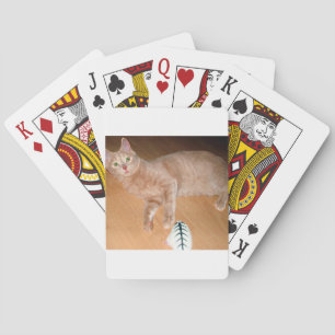 JEU DE CARTES MEOW