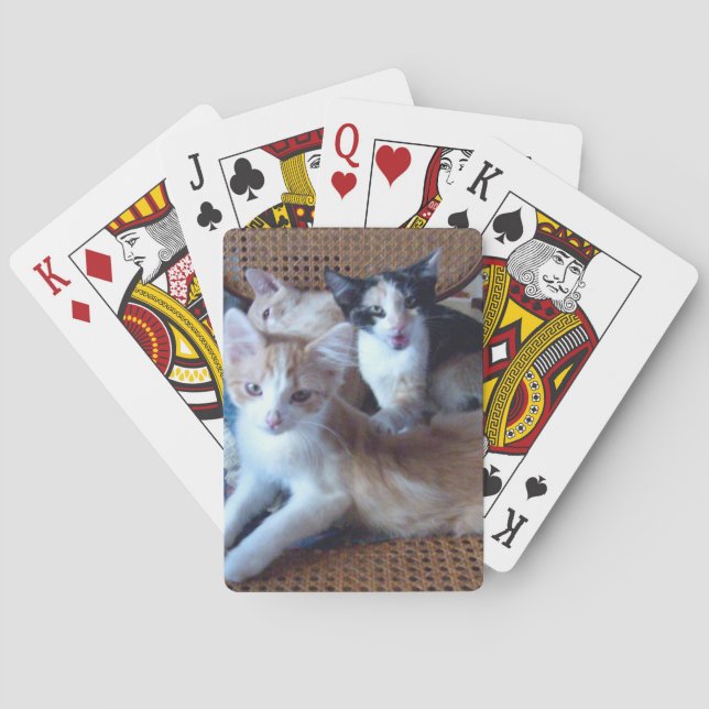 Jeu De Cartes Meow Cats 21 Playing Cards (dos)