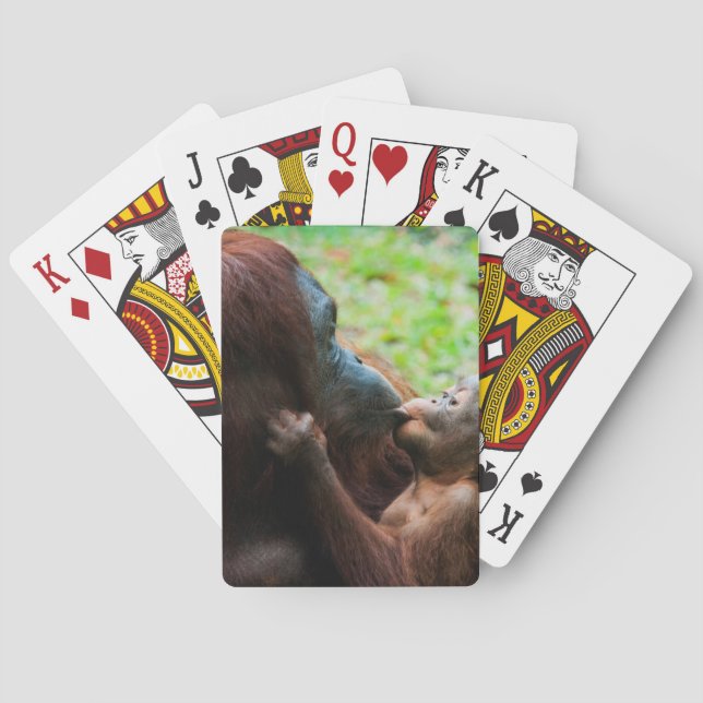 Jeu De Cartes Mère orang-outan et bébé (dos)