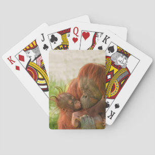 Jeu De Cartes Mère Orangoutan Moments de tendresse
