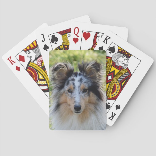 Jeu De Cartes Merle Shetland Sheepdog - Chien de Sheltie (dos)