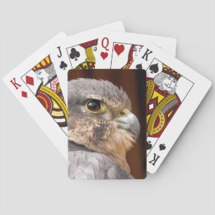 JEU DE CARTES MERLIN FALCON OISEAU DE PREY