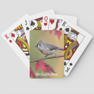 Jeu De Cartes Mésanges tuftées