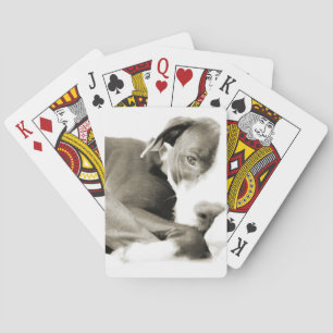 Jeu De Cartes mignon loup de taureau