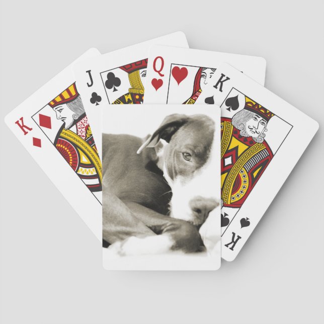 Jeu De Cartes mignon loup de taureau (dos)