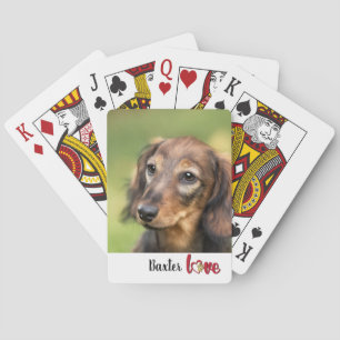 Jeu De Cartes Migrez votre chien photo