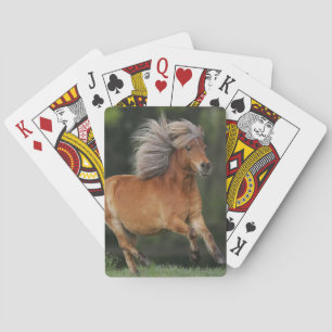 Jeu De Cartes Miniature Horse Running