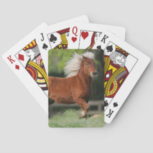 Jeu De Cartes "Miniature Horse Standing"
