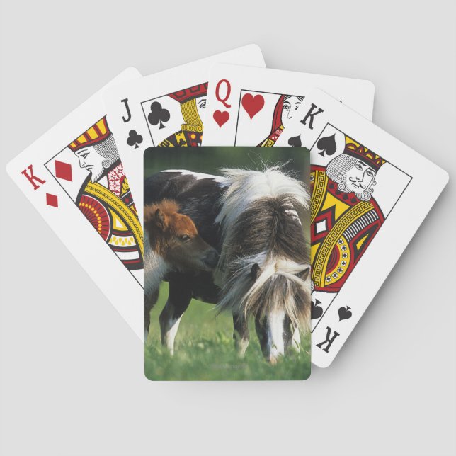 Jeu De Cartes Miniature Mare & Foals 2 (dos)
