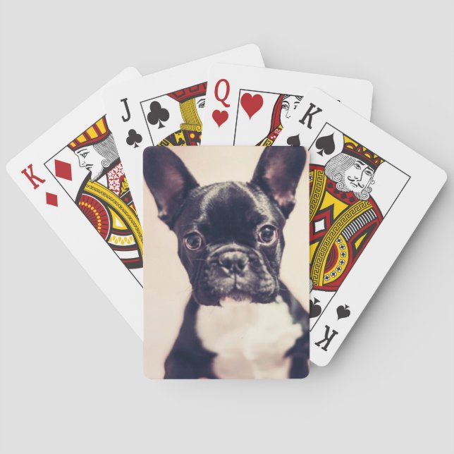 Jeu De Cartes Minuscule Chiot noir et blanc (dos)