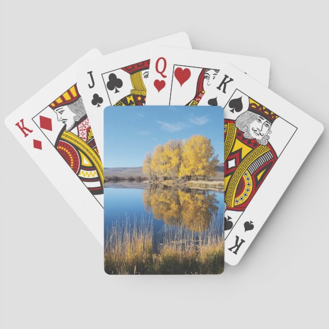 Jeu De Cartes Mirror Pond Playing Cards (dos)