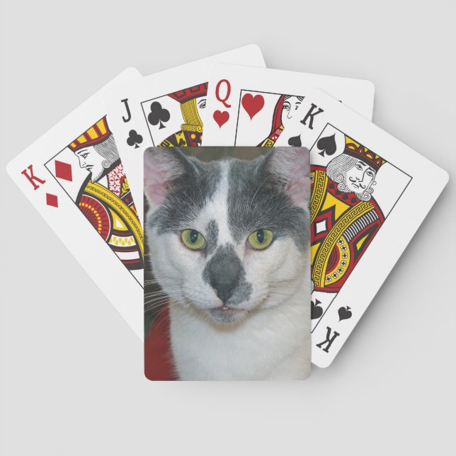 Jeu De Cartes Mister Pants (dos)