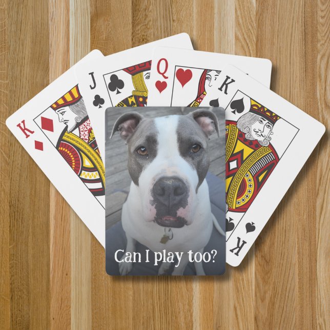 Jeu De Cartes Modèle de photo complète pour animal de compagnie  (Créateur téléchargé)